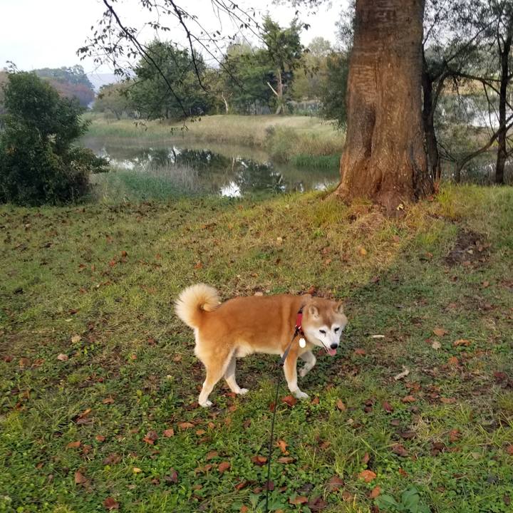 8520a89d f70b 4498 ac16 b77d4ac22812 1728977357066