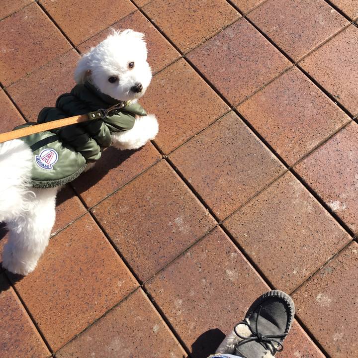 8520dc83 a724 4b23 9ea4 589629463be7 1513050788919