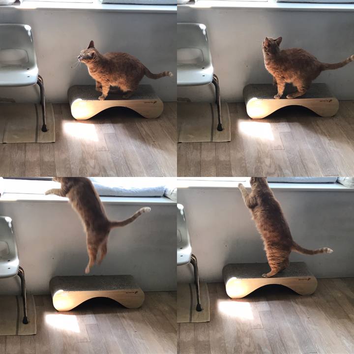 852139f2 044e 485a 9130 6028ab76df87 1596956065398