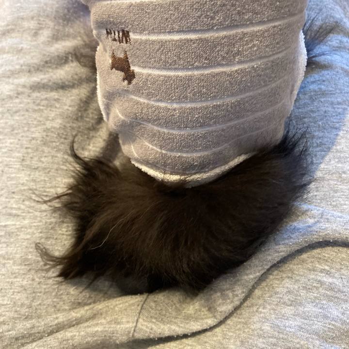 85217129 e3ff 41a0 95da ea635bcd47dc 1714733387987