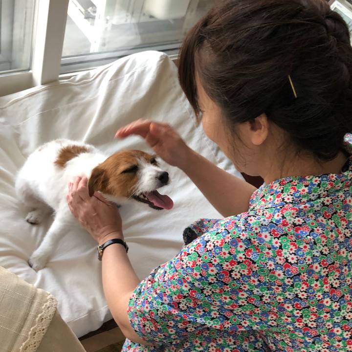 85219e47 5fc5 4b99 8c6d 42bb35ad9ed2 1533425529305