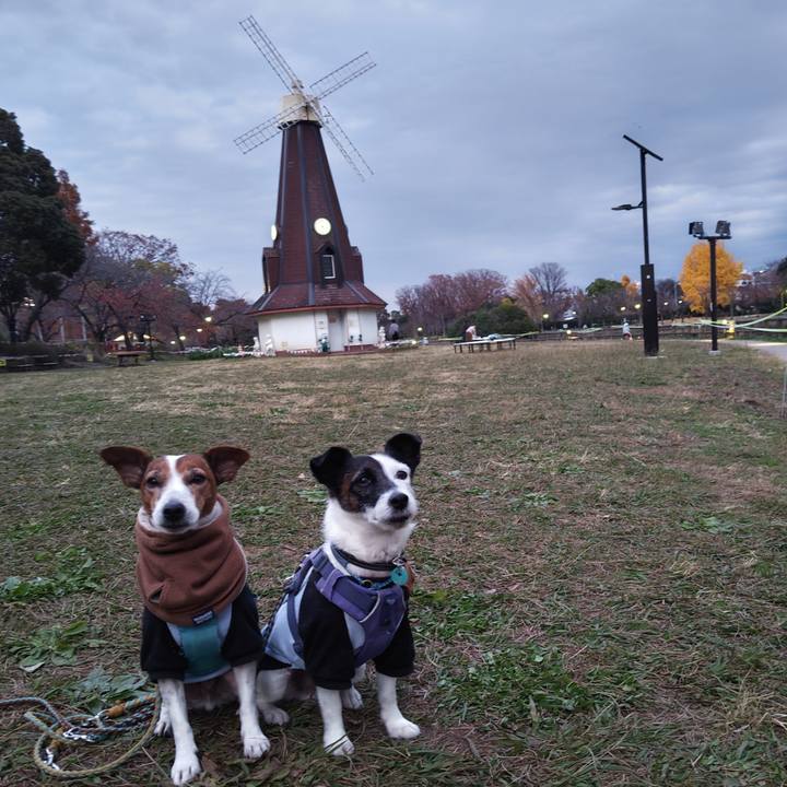 8521a8f6 078a 443d 9d1c 7be498c70edc 1733567879262