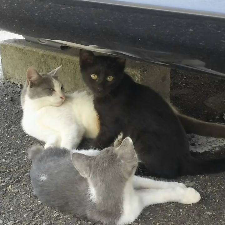 8521e8fa f5c4 4250 be8a 0e298848f4f0 1530413483638