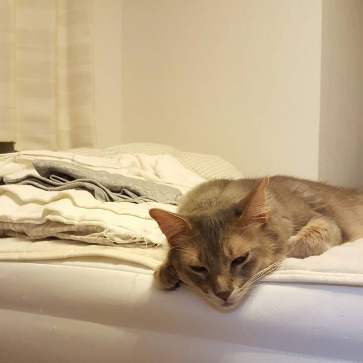 8521fe11 87ef 4f28 aa07 c53b4c6591d4 1556802779045