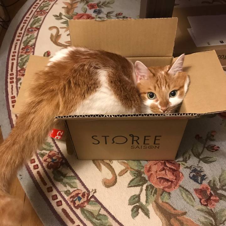 852217fe 0d0e 45c4 af8a a371e722eb64 1596884995871