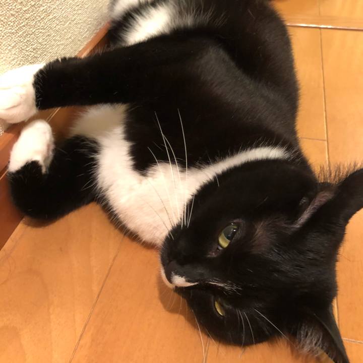 85222163 cdd3 4862 b9e6 3ad8f51286e4 1529011769456