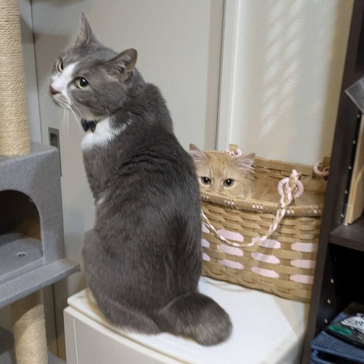 85224f8f e813 4f0d 82fe adf017d49c70 1783522238553