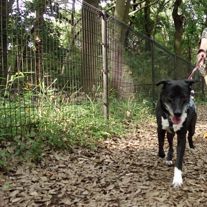 85225873 4941 4ef0 8997 5d26e555f8b2 1718585122586