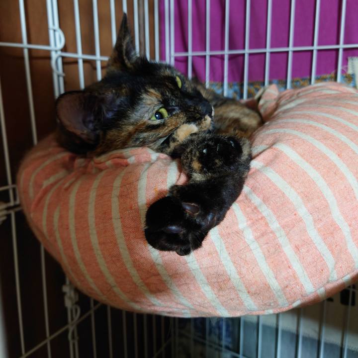 85225f40 60a6 4302 9697 8096931ded81 1695732795614