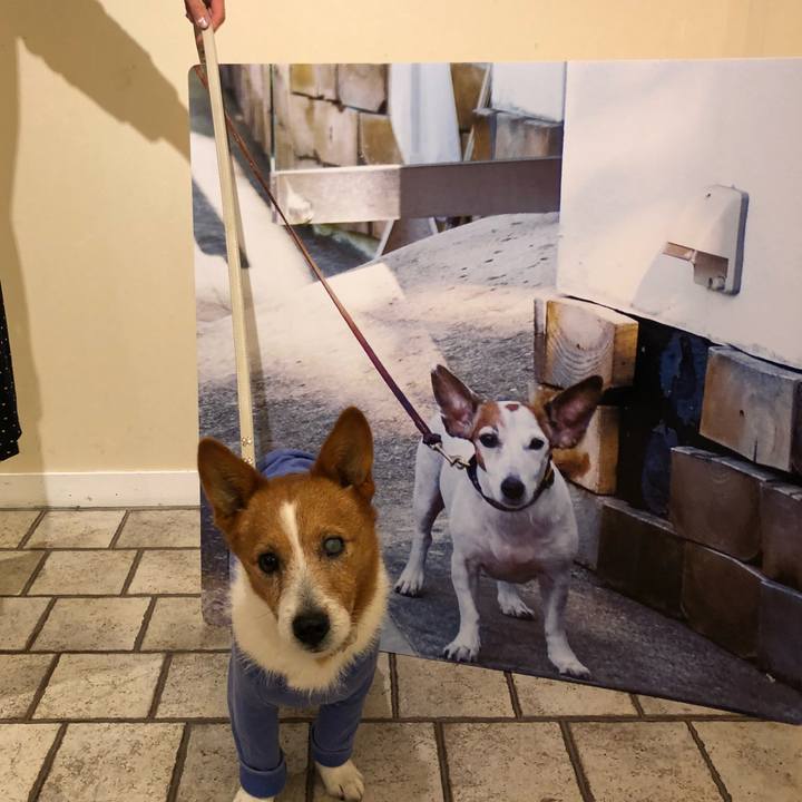 85229191 1983 4875 b0e4 b93a6f314e23 1524047400289