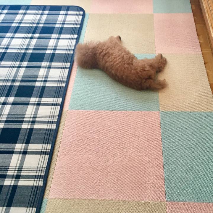 852295d2 30a8 41a2 a2ae a93435354f7d 1519220339915