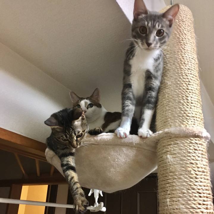 8522fa79 56ab 4de0 bedf df2f9b513c3c 1537354577658