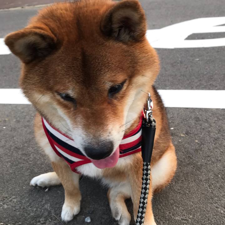 85231ad6 b1aa 4179 bc10 16f673350a86 1597043586889