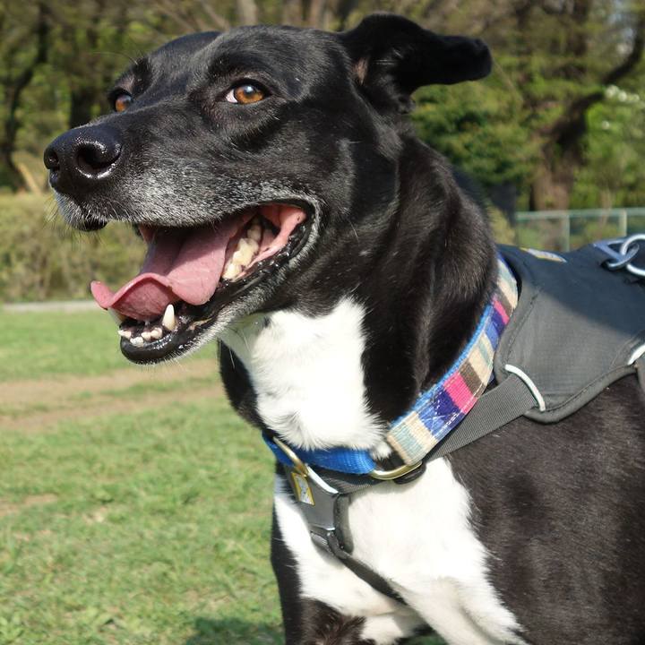 85234083 673e 493c abdd c45279232ff6 1649724716547