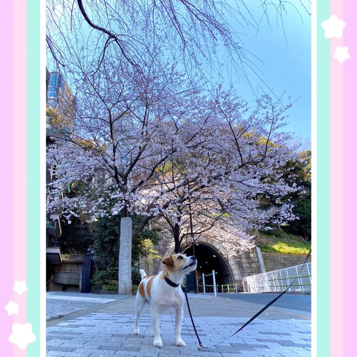 8523465e 879a 45af b88c 2775f39fb719 1584795693637