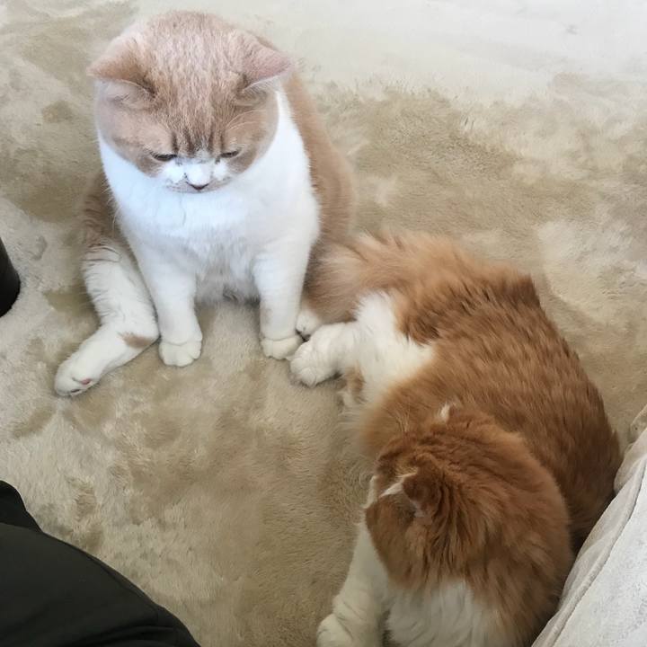 852349de efb3 485b 81d8 3819c98d4750 1533182901629