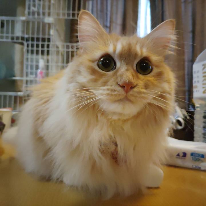 85235b5b 1f45 499b 8a36 d5fdc22935dc 1680732858627