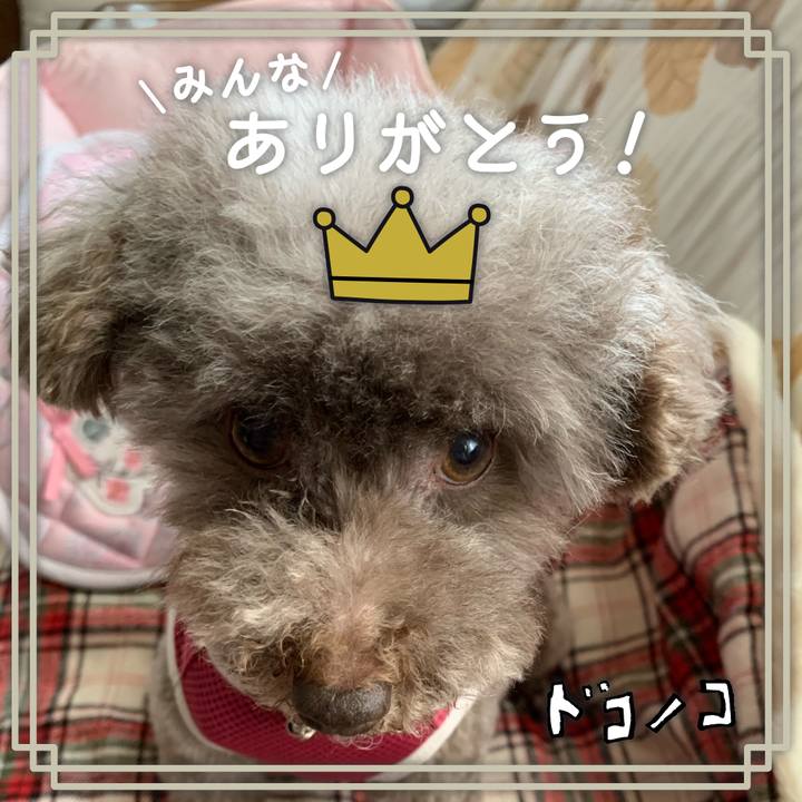 8523977d 8652 47de ba91 911d433f3b3b 1622867117730