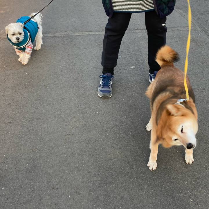 85239eb8 cac6 4f6d 8bd0 2407a9e50730 1645157510819