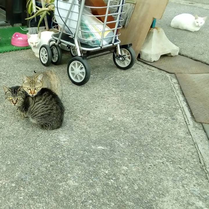 8523b7c6 609a 43f0 af0d 67c902708be9 1542370191285