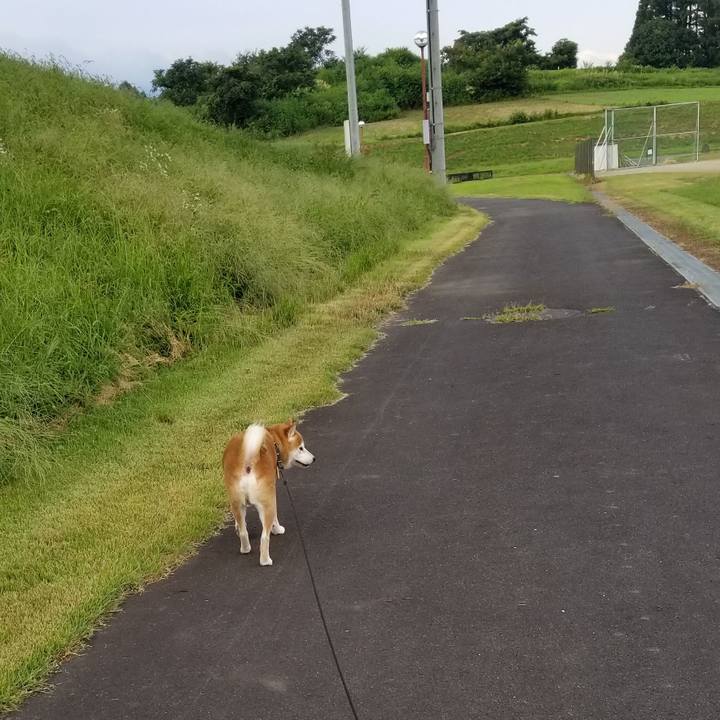 8523e8fd 8efc 4648 a60d b711677b6e2c 1598171774063