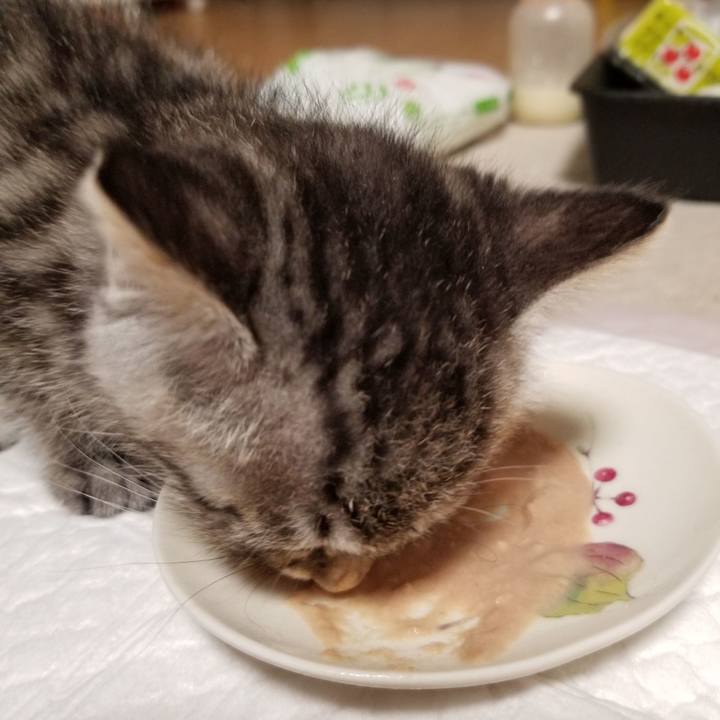 85242f30 9bdb 445b afc6 d3b2c995c20b 1661425239013