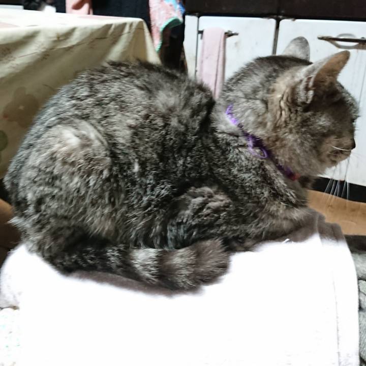 852434c8 8636 4d79 b6d0 e507b43f5416 1585167013465