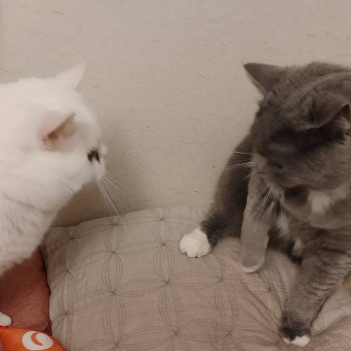 85245091 ac27 4126 9990 a3fa417164bb 1617883046322