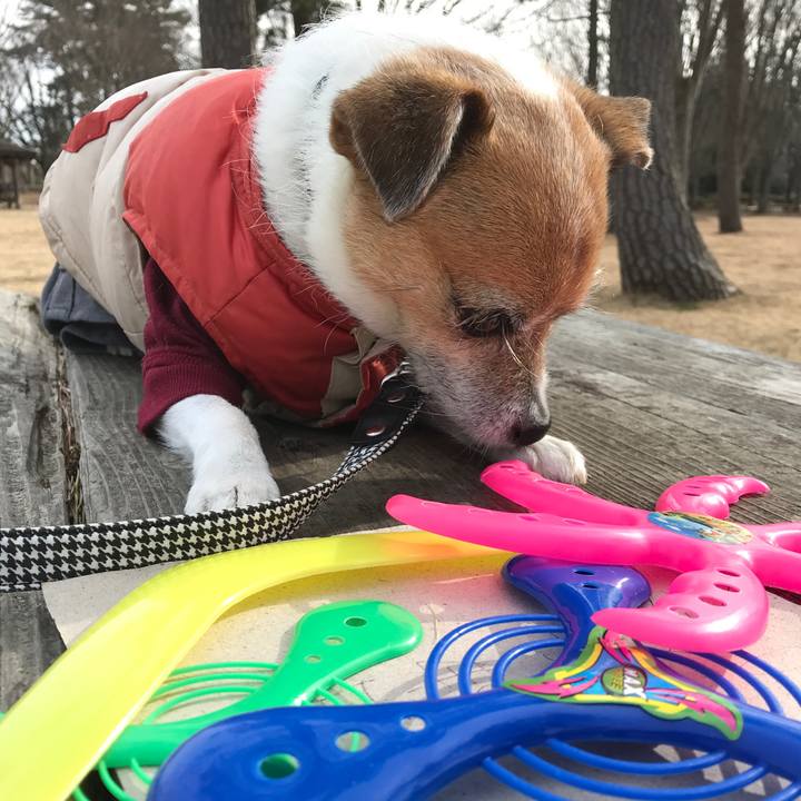 852458b8 4fdb 4dd3 b2e1 2feb708303b0 1579246208114