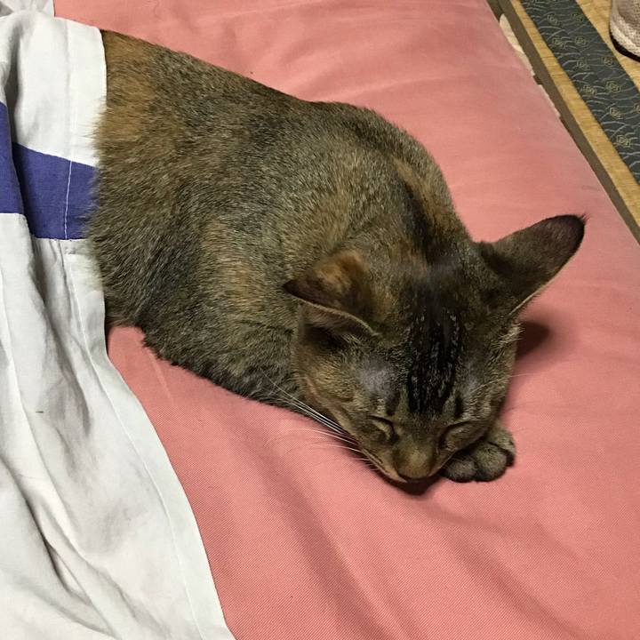 8524c440 229a 461c 9274 e8c13779cd4d 1577611905173