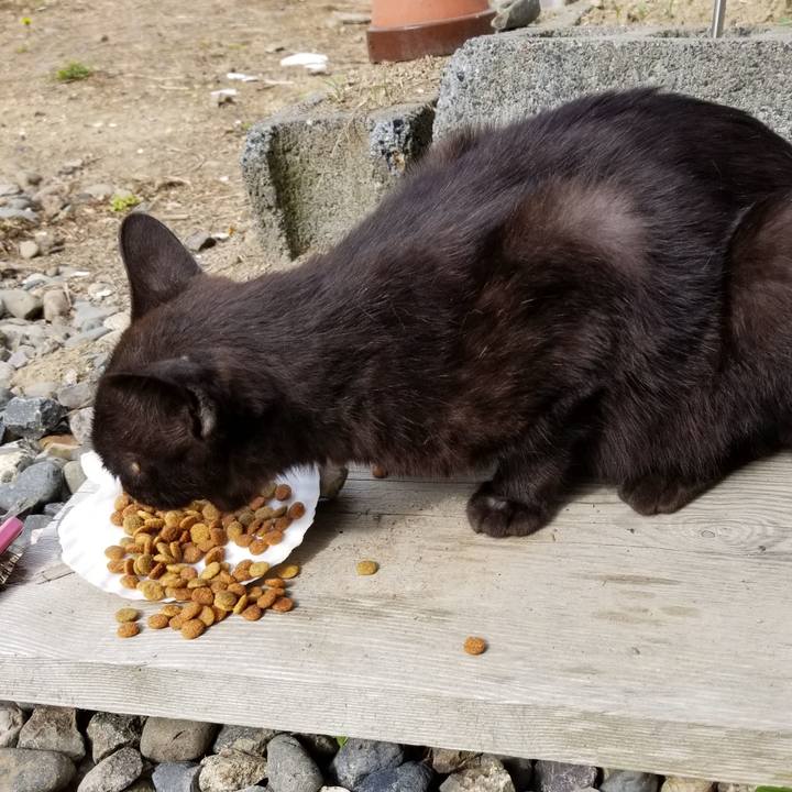 8524c9c1 082d 4f4c bd69 71c5660f1675 1592220710547