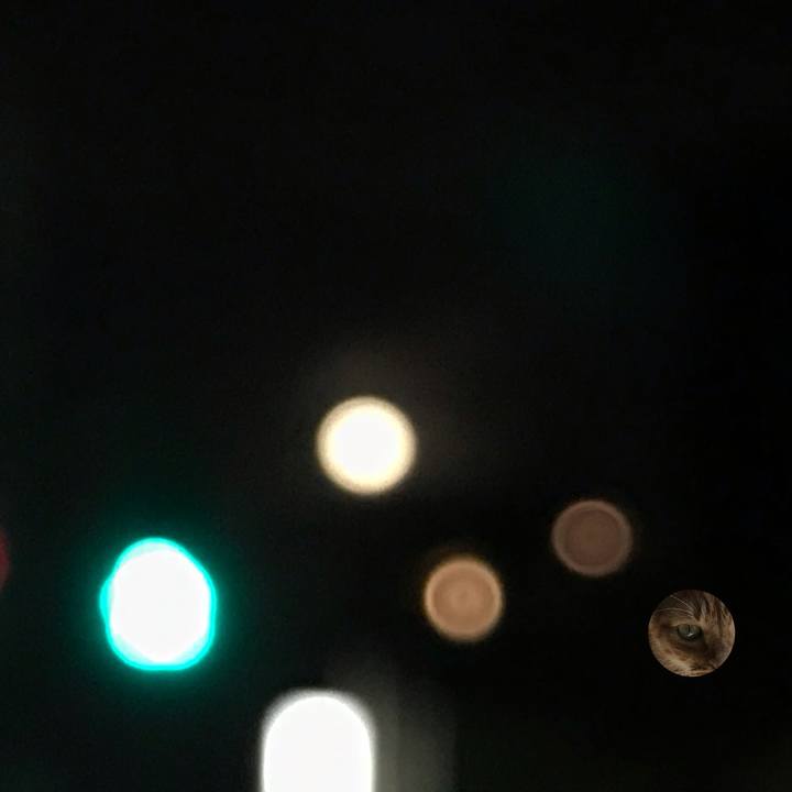 8524d25e a8fb 4535 8b68 ea9819e49791 1573657547624