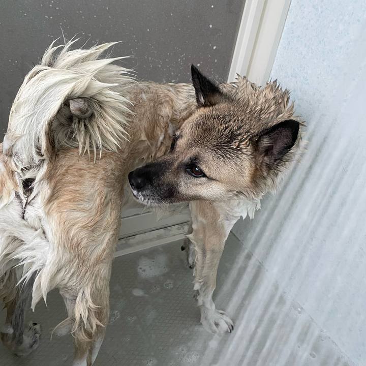 85251927 12e5 421c b38f b1defd917a8e 1694254251118