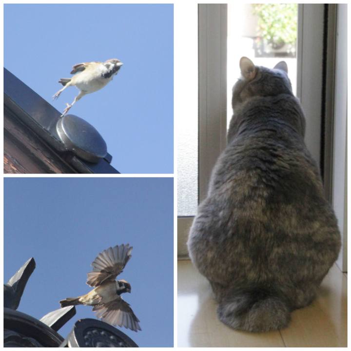 85251a6b 808b 4936 8254 3ac5c1fbb575 1633577904933