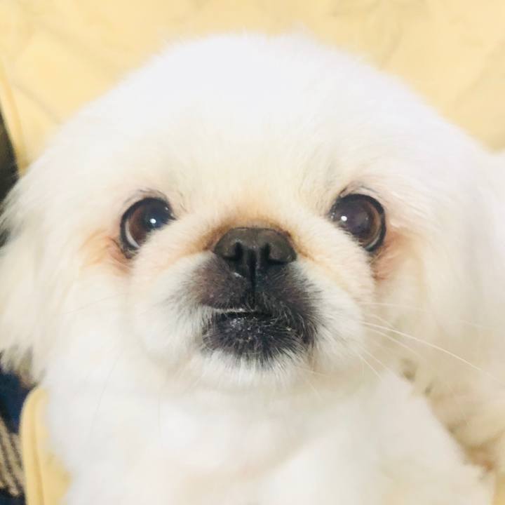 85253de7 5ea9 4667 8f38 a6dc9571960a 1599122245481