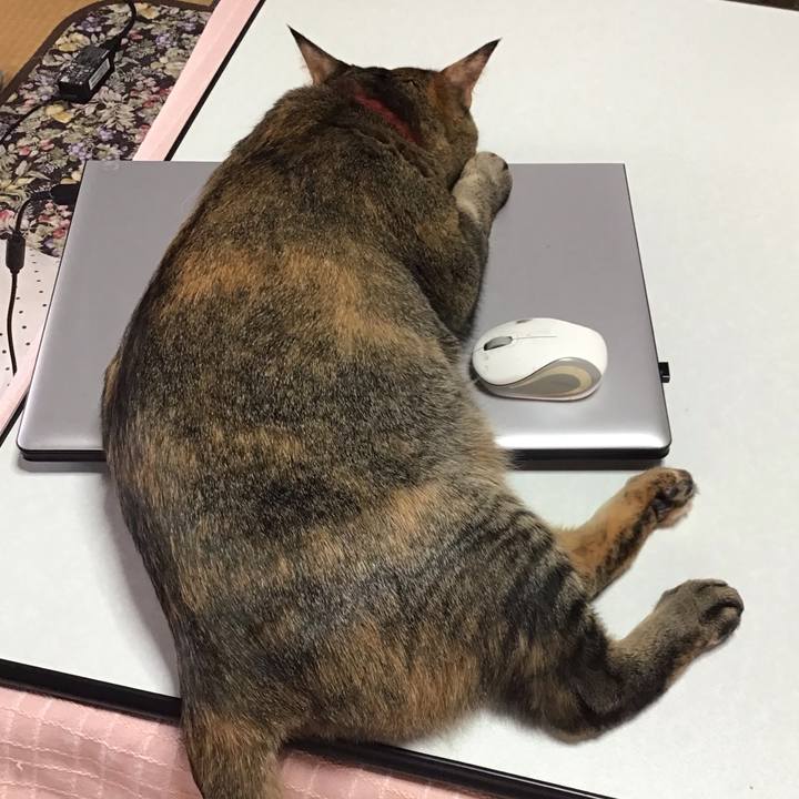 852568b0 4240 43bd a02d 9c7dd8fed667 1637885485240