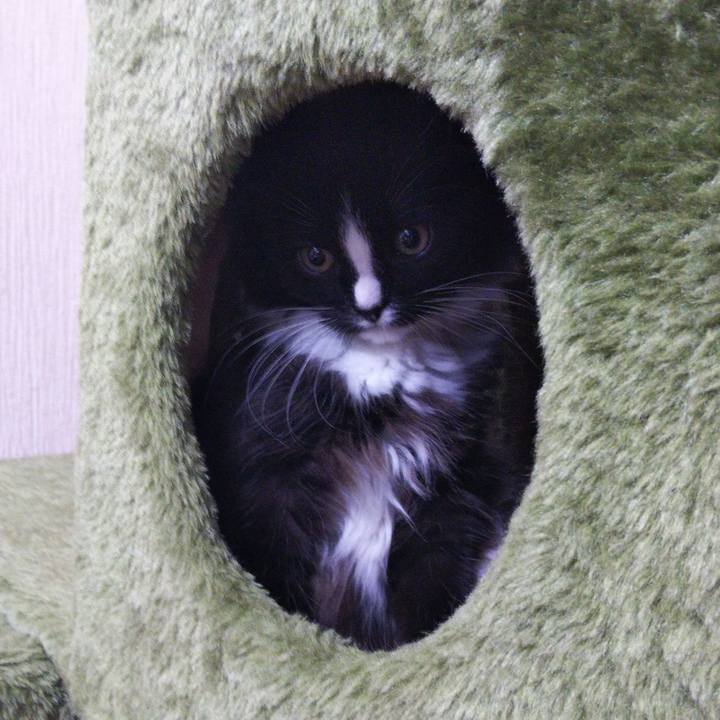 8525e07c 10a2 44cb 9cb4 2f8148e73dda 1640091599759