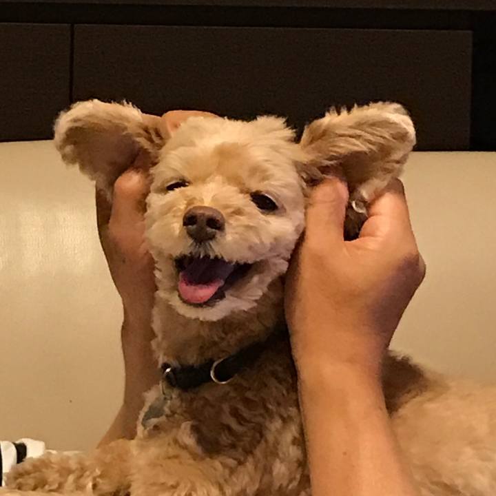 85260792 7432 482b a8c2 5d958c0cf6d5 1512299106617