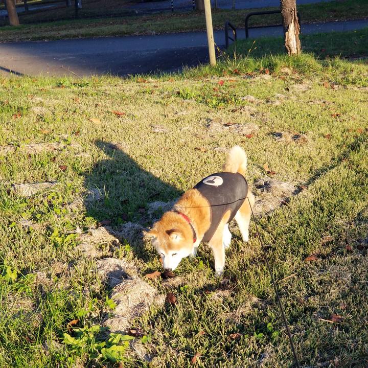 852611f4 091b 4633 baf5 7e8ad139f324 1731048958943