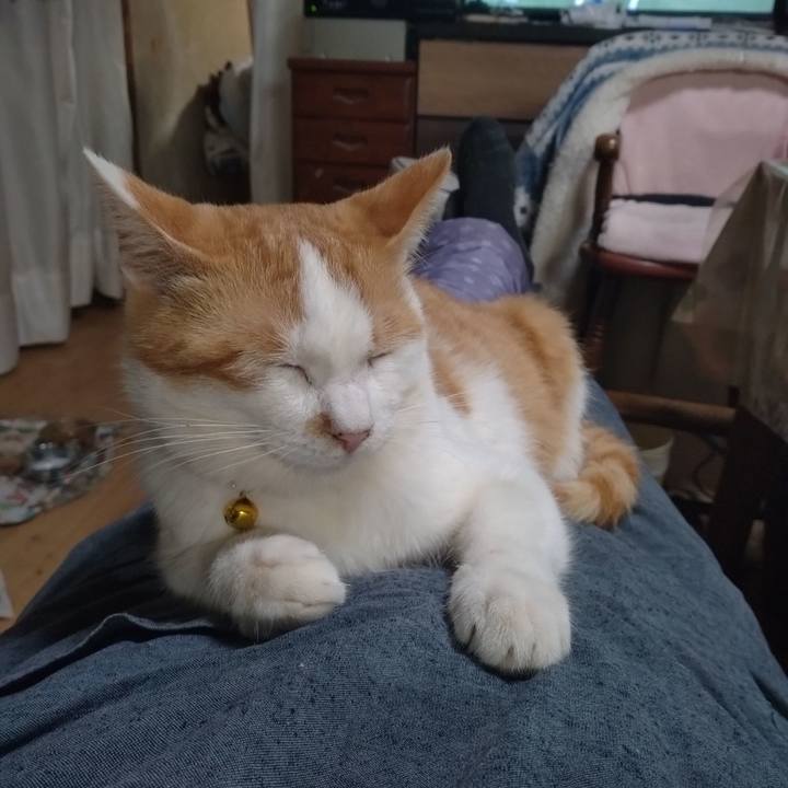 85262e54 0a0d 47f4 9426 4198ee2c7f21 1742123143117