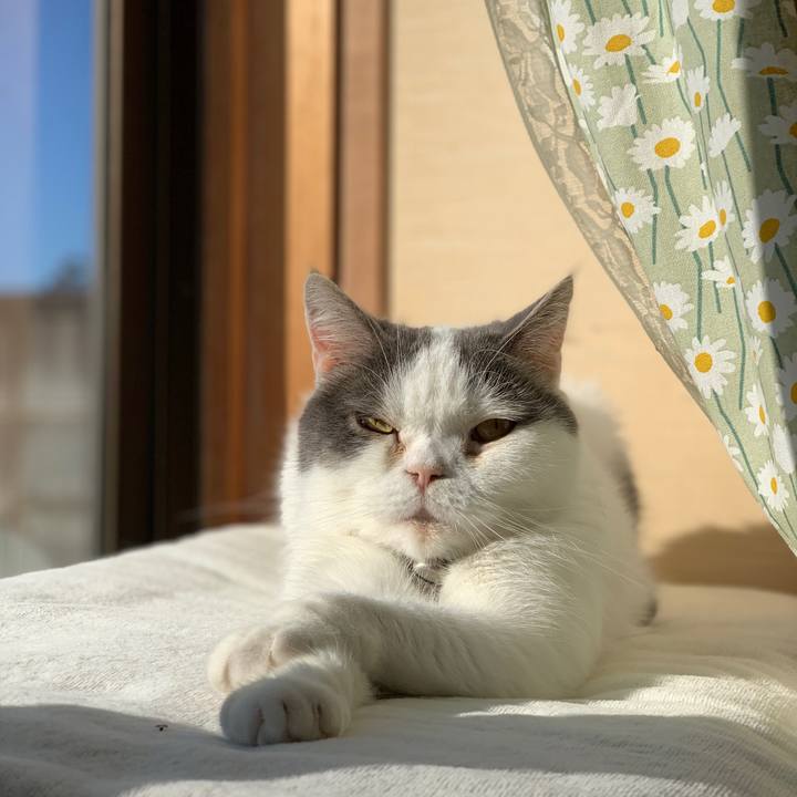 8526536d c5ac 4684 a625 367f748d82a0 1732273236379