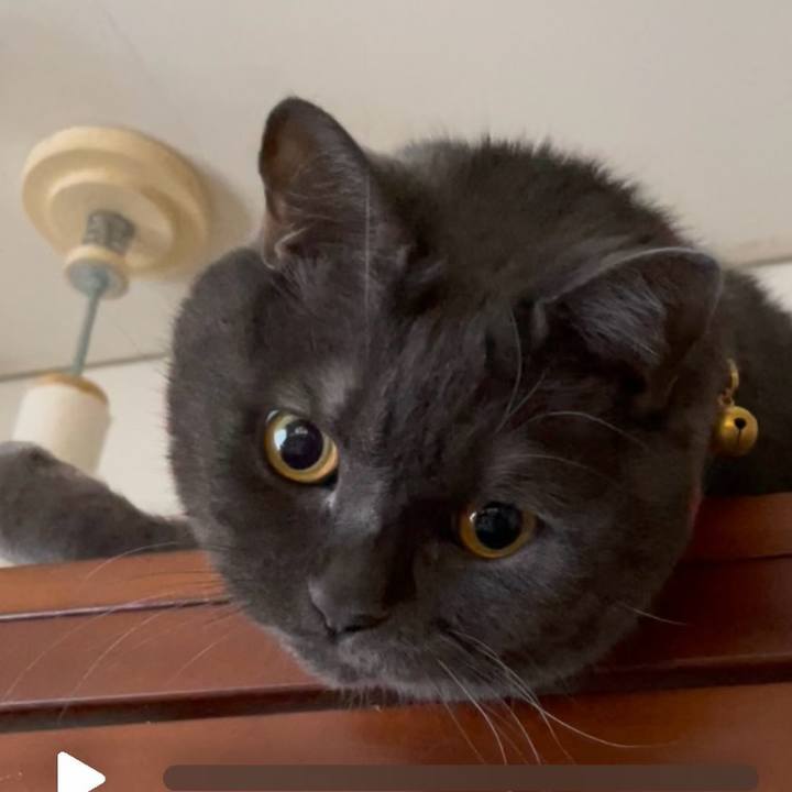 85266f75 1bdc 478e bcff edcb77e84522 1766468288891