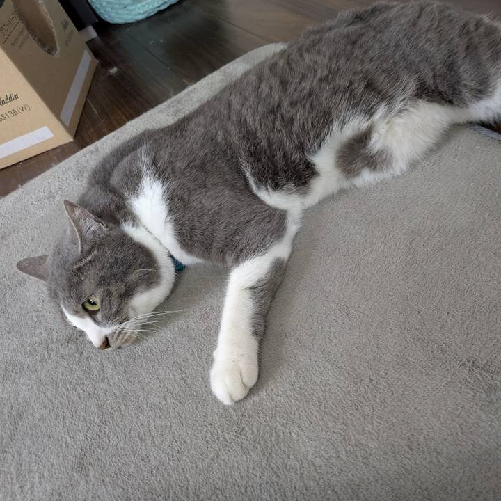 85267d7e 544b 4ae1 843c 05a9a00bdd11 1749431602498