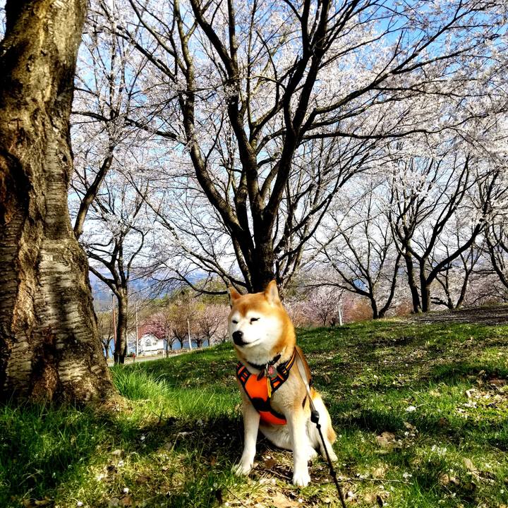 8526d9a9 a908 4f79 bd63 115bdc5c311a 1618465870955