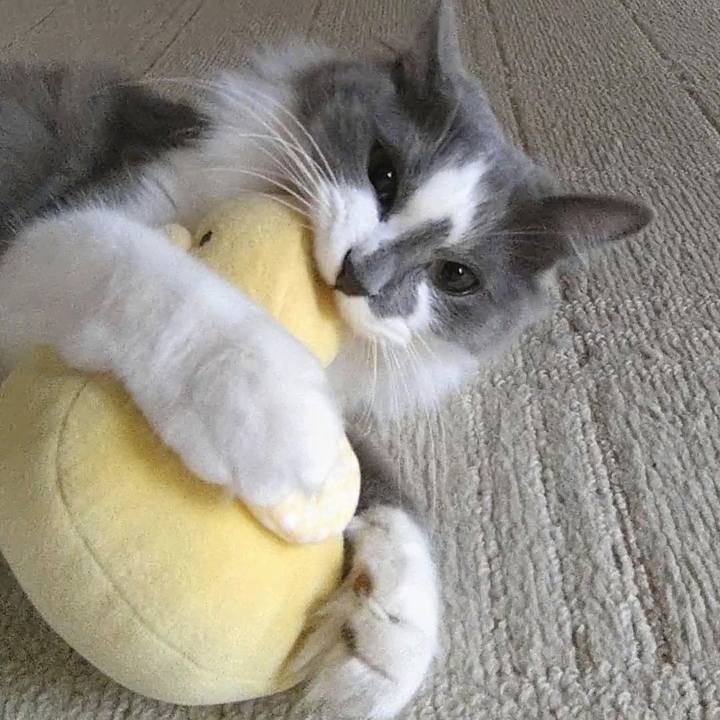 85272eb9 17b8 492b a6c3 7f1547f33627 1578805362236