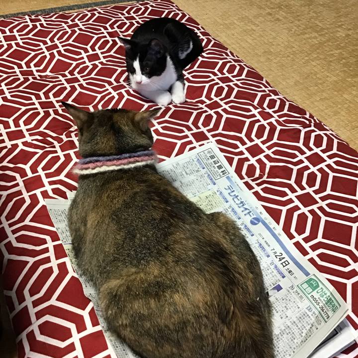 852737b5 5a9e 49b4 b791 50cf33248a63 1627109350089