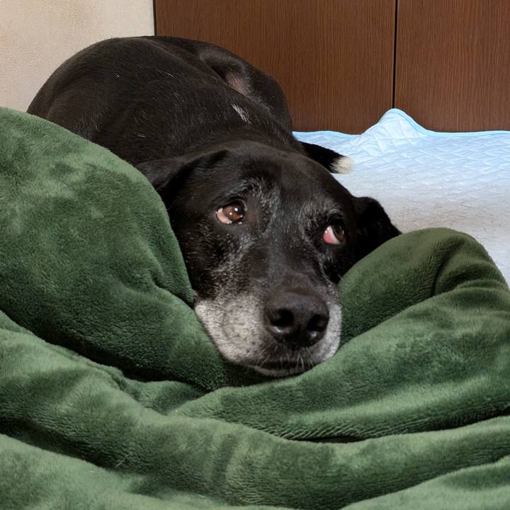 85276905 88b4 4e91 9d3b 82cd6ef6a8ce 1759672119956