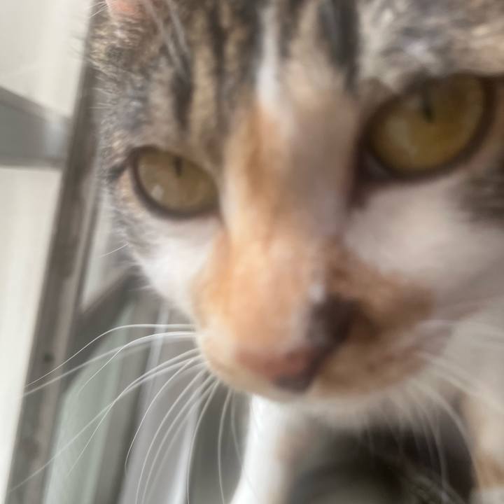 85276aa0 cf6f 407c 8c93 196d4693c8e0 1755846028669