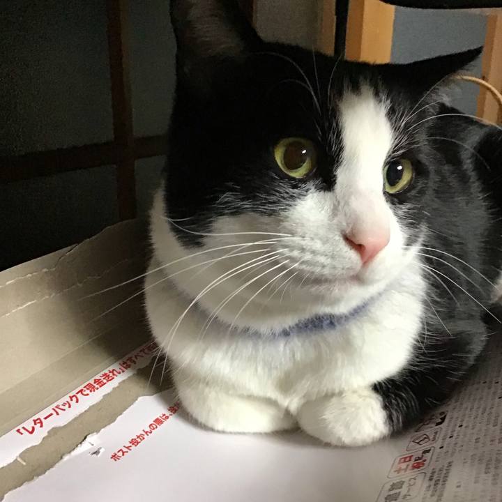 85277b48 2611 41a0 ba2c d1e2eed2e027 1672060225847