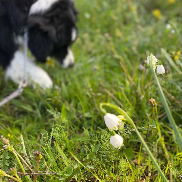 85279832 960f 4a00 9599 d240882fe1c0 1615942377072